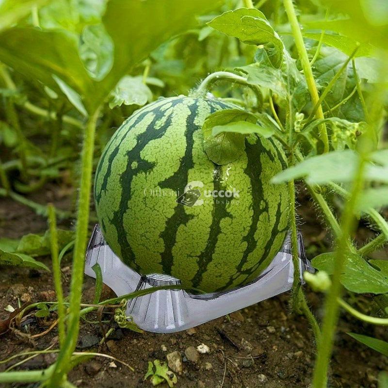 20db Átlátszó PVC Dinnye és Sárgadinnye Támogató Párna