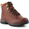 Ariat Túracipők Buty  Berwick GTX 10016298 Barna 37 1/2