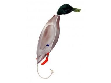 Dokken&amp;#039;s Dummy Kacsa Kis vadkacsa
