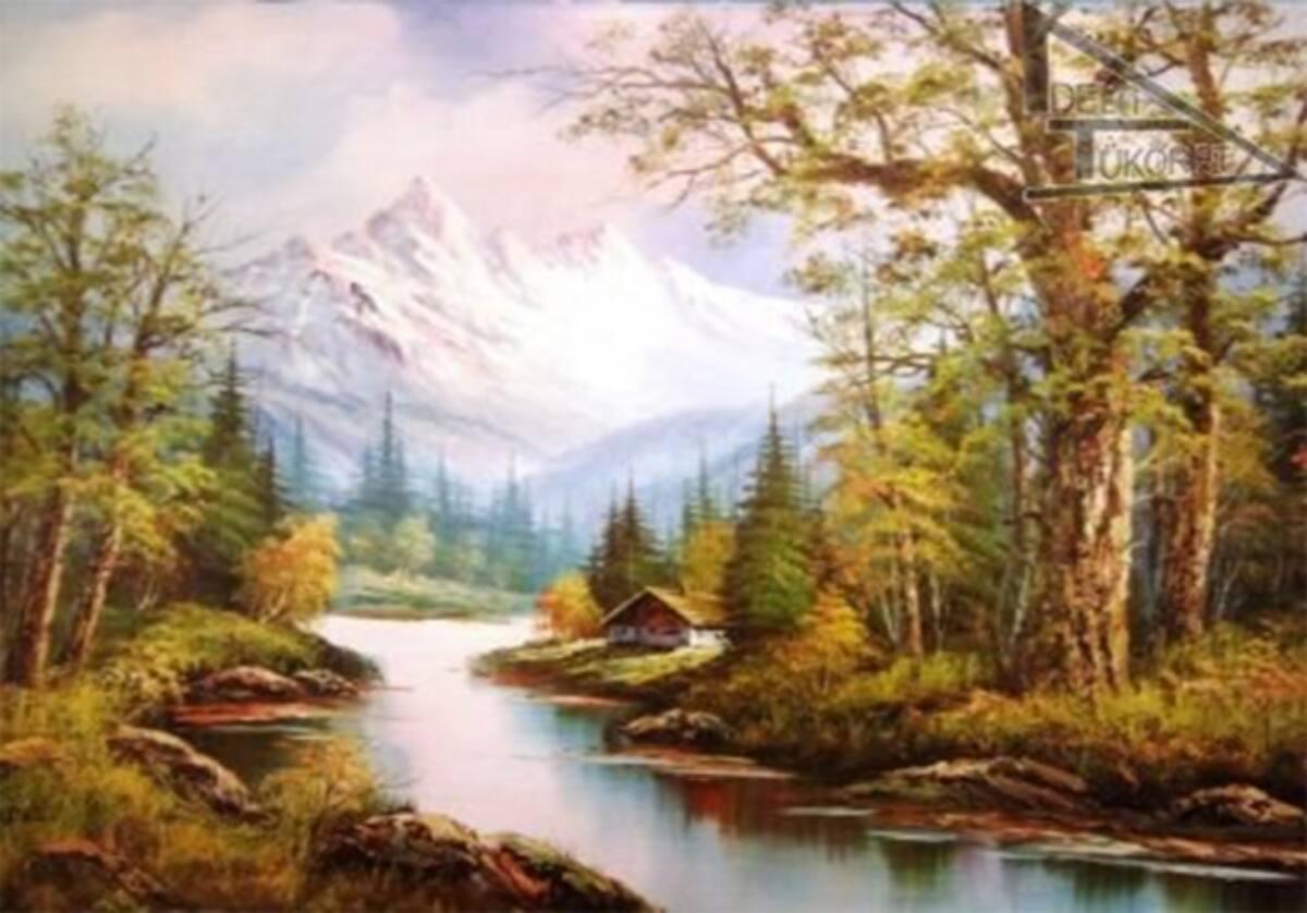 dt-3 40*50 cm