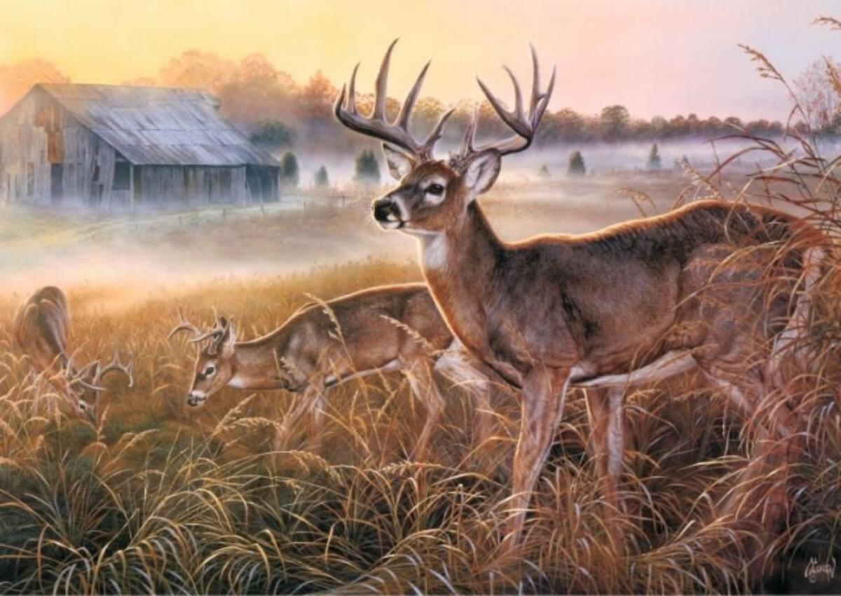 dt261 60*90 cm