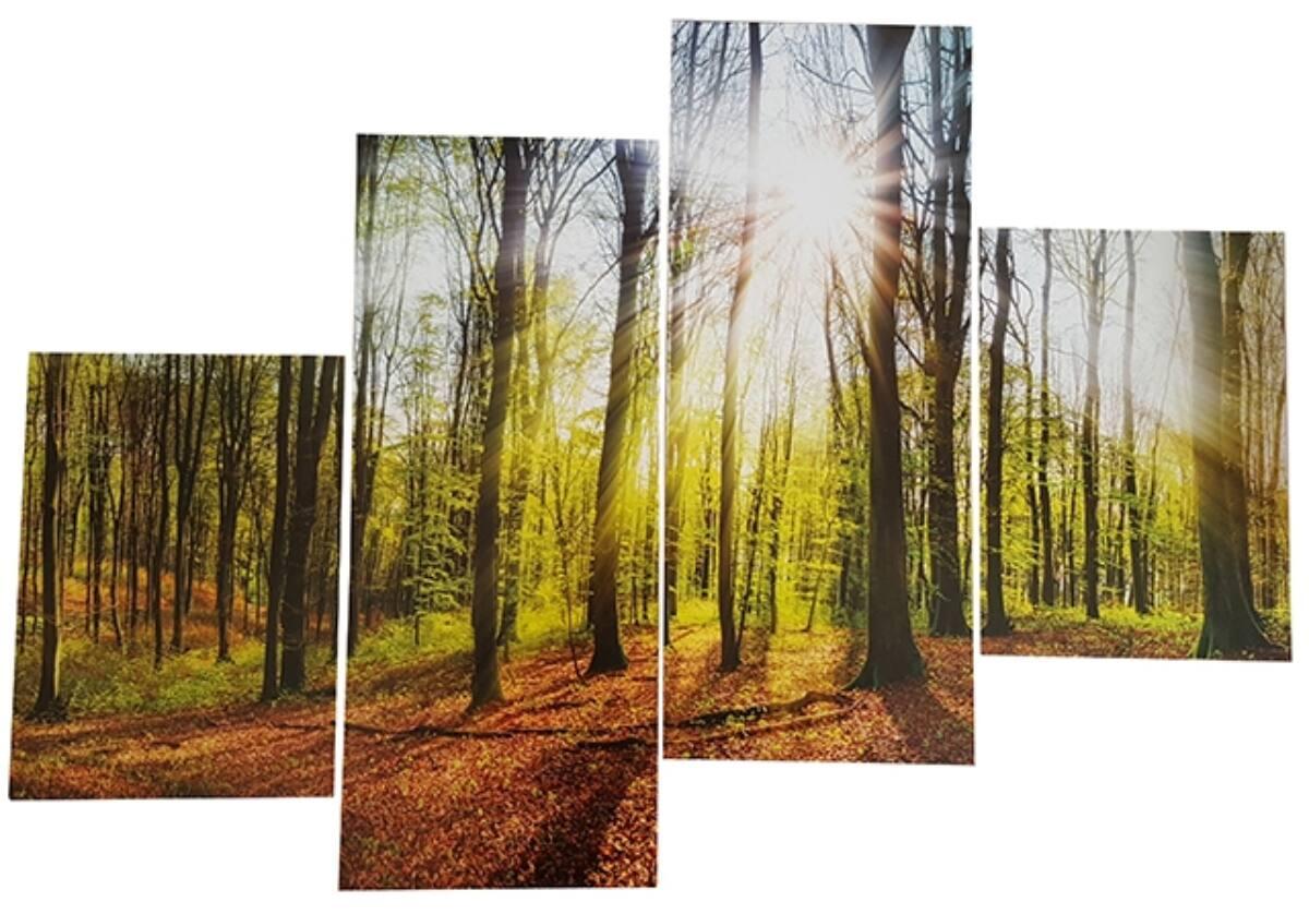 dt75x115cm_29