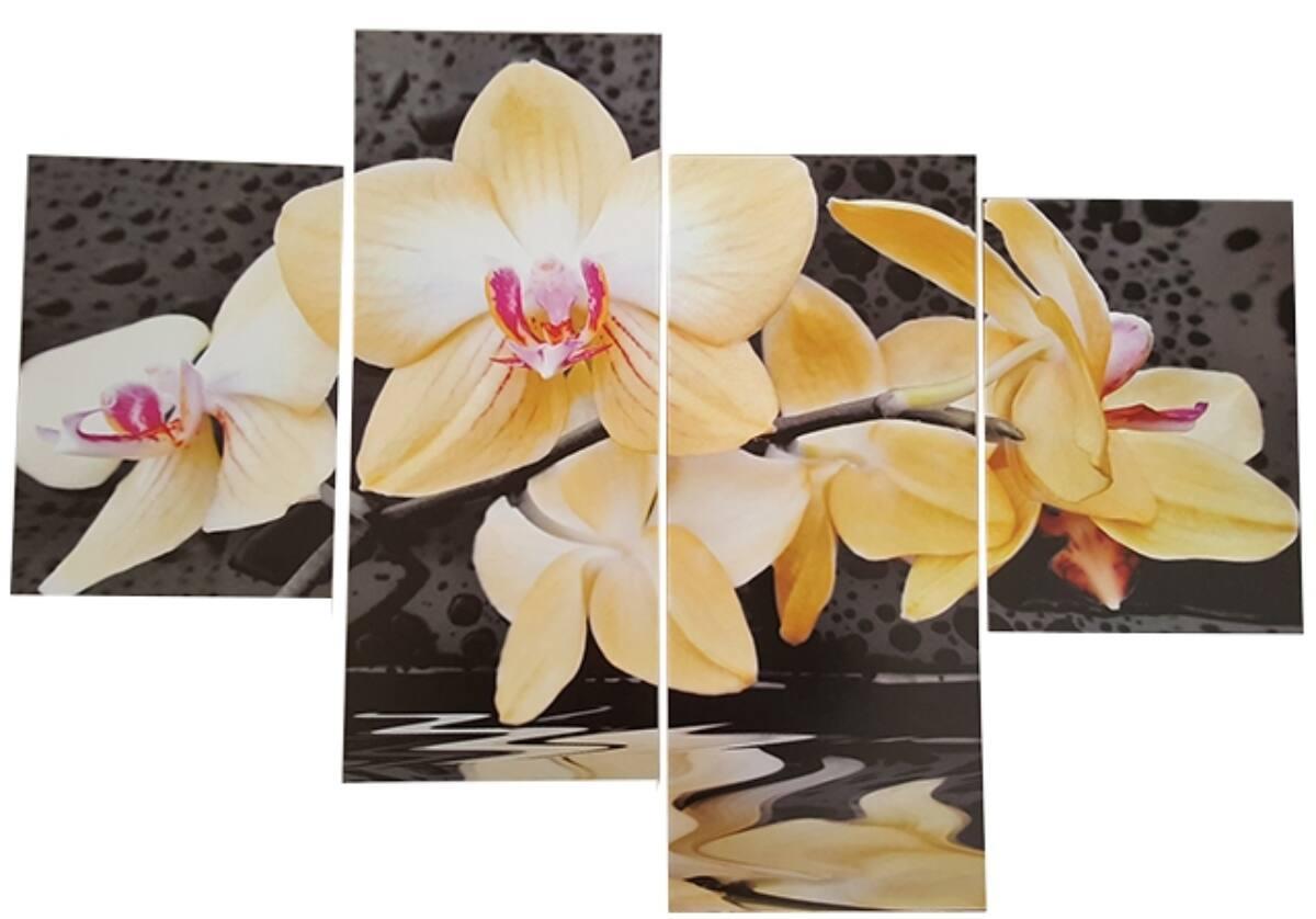 dt75x115cm_47