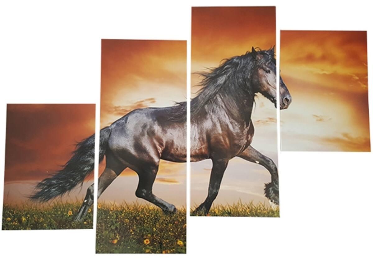dt75x115cm_53