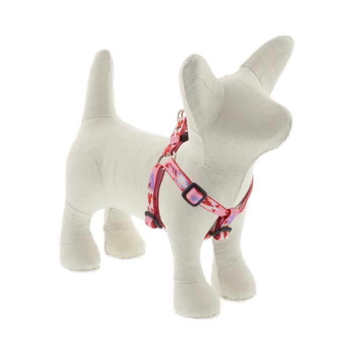 Lupine Step-in hám (Lovable Gnomes 1,25 cm széles 31-45 cm)