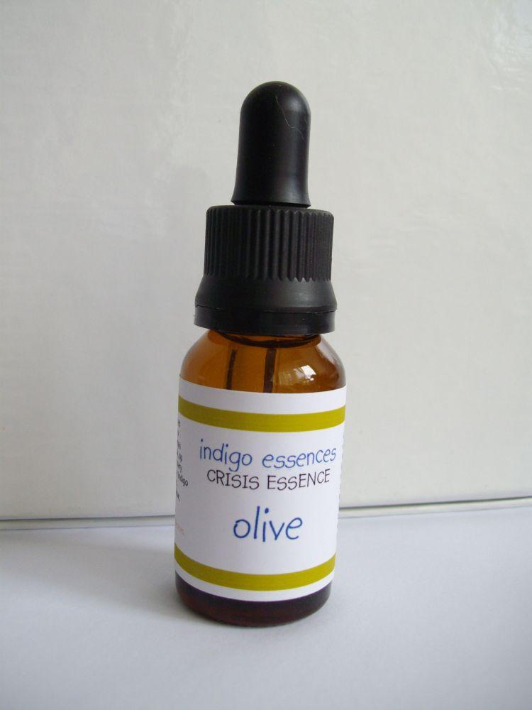 Olive (Olajfa) Research Series Indigo eszencia 15ml.