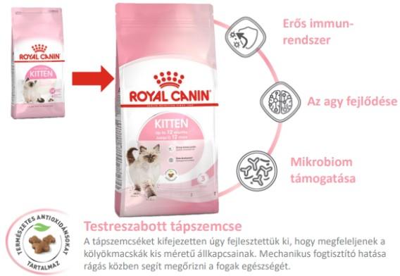 Royal Canin Kitten 10 kg 