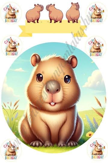 Torta ostya - Capybara A4 