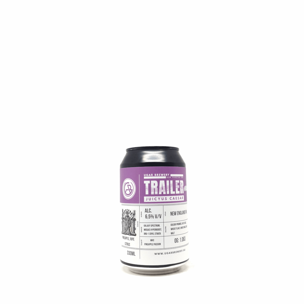 Ugar Brewery Trailer 040 0,33L